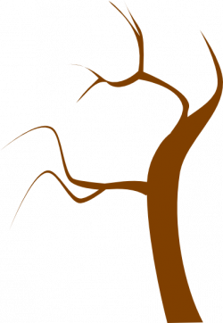 Brown Tree Branch Clipart