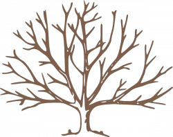 Free Brown Tree Cliparts, Download Free Clip Art, Free Clip Art on ...