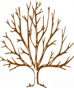 Free Brown Tree Cliparts, Download Free Clip Art, Free Clip Art on ...