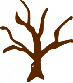 Tree Clip Art at Clker.com - vector clip art online, royalty free ...