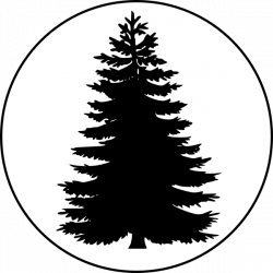 Free Cedar Tree Silhouette, Download Free Clip Art, Free Clip Art on ...