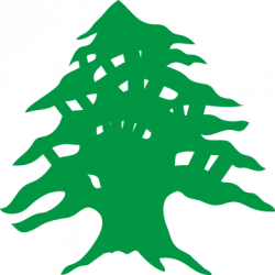 Free Cedar Tree Drawing, Download Free Clip Art, Free Clip Art on ...