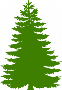 Free Cedar Tree Cliparts, Download Free Clip Art, Free Clip Art on ...