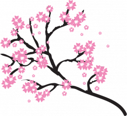 Clipart - Cherry Blossoms