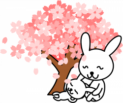 Cherry blossom tree graphic freeuse library - RR collections