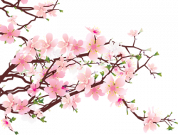 Cherry Blossom Clip Art Free - ClipArt Best | CLip art | Pinterest ...