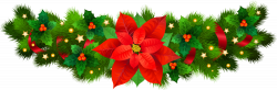 Christmas flowers vector library - RR collections