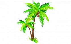 Coconut tree clipart transparent png - RR collections