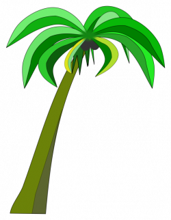 Palm trees Coconut Can Stock Photo Drawing free commercial clipart ...