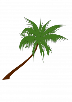 Coconut Tree Clip Art - Cliparts.co