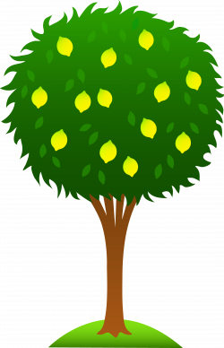 Lemon Tree Clipart