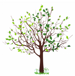 Free Spring Tree Cliparts, Download Free Clip Art, Free Clip Art on ...