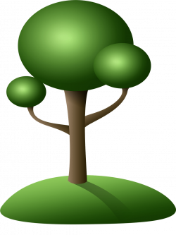 cypress tree clipart - image #12