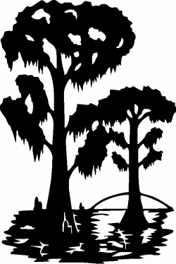 Black white clipart cypress tree collection