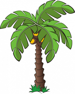 Palm trees Canary Island date palm Plants free commercial clipart ...