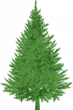 Evergreen tree banner stock - RR collections