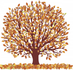 Autumn Tree with Falling Leaves Transparent Picture | Trees | Tree ...