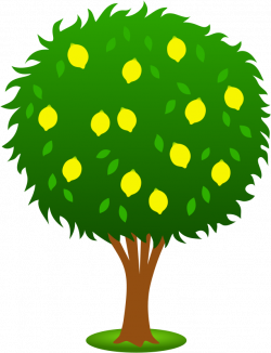 Free Tree Images Free, Download Free Clip Art, Free Clip Art on ...