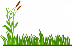 Tree with lawn vector royalty free - RR collections