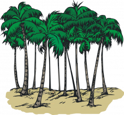 A Group of Palm Trees - Clipart library - Clipart library - Clip Art ...