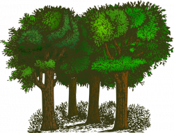 Group Of Trees Clip Art at Clker.com - vector clip art online ...