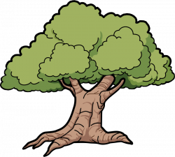 jungle tree clipart - image #8