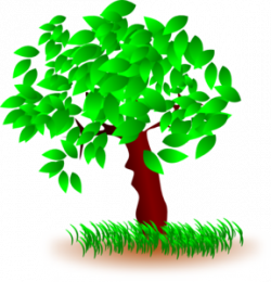 Tree With Large Leaves Clip Art at Clker.com - vector clip art ...