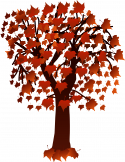 maple tree clipart - image #1