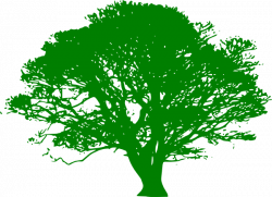Maple Tree Clip Art at Clker.com - vector clip art online, royalty ...