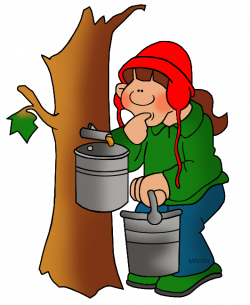 Maple tree clip royalty free library - RR collections