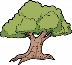 Narra Tree Clipart - Clip Art Library