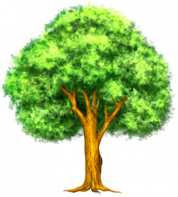 Tree image royalty free download image - RR collections