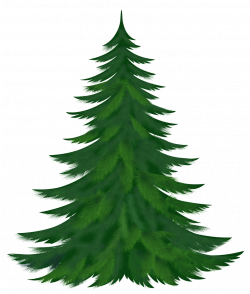 Pine Tree Clipart Clip Art - mayhanrobot.net