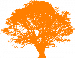 Free Cartoon Orange Tree, Download Free Clip Art, Free Clip Art on ...
