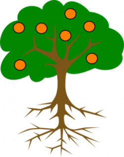 The Orange Tree Clip Art at Clker.com - vector clip art online ...