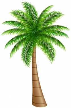 Pin by Nisha Yadav on Art | Pinterest | Palm tree clip art, Clip art ...