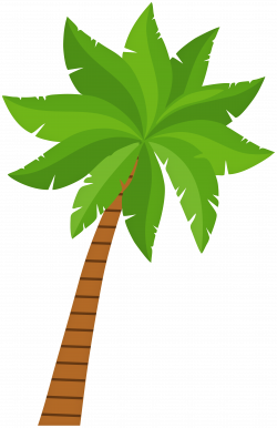 Palm Tree PNG Clip Art - Best WEB Clipart