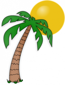 Palm Trees Graphics Clipart