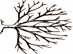 Free Bare Tree Template, Download Free Clip Art, Free Clip Art on ...