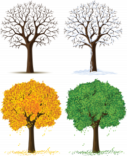 Four Seasons Tree Clipart