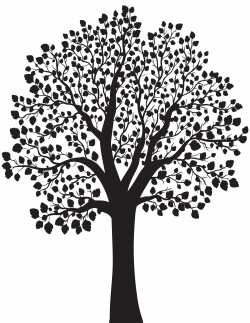Tree silhouette graphic transparent - RR collections