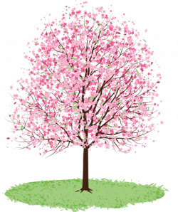 Free Spring Trees Cliparts, Download Free Clip Art, Free Clip Art on ...