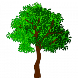 Summer Tree Cartoons Clipart