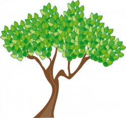 Summer Tree Clipart