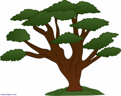 Tree Sweeping Oak Clipart - Sweet Clip Art