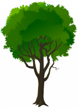 Download tree decorative transparent png images background | TOPpng