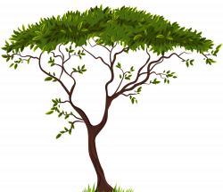Tree picture library download with transparent background - RR ...