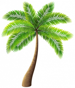 Pin by Ashley Calhoon on Clipart and Wallpaper | Palm tree clip art ...