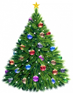 Transparent Christmas Tree Clipart | 3D CHRISTMAS PNG & CARDS ...