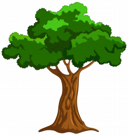 Willow tree clip transparent library - RR collections